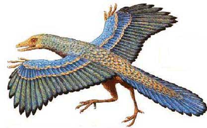 Archaeopteryx