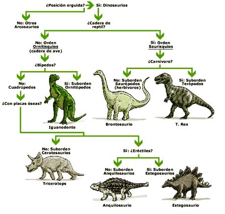Guía de dinosaurios