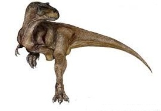 Blog de la tienda tododinosaurios con Informacion sobre el mundo de los  dinosaurios