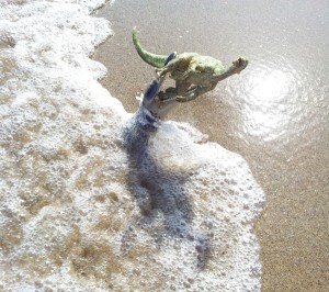 kronosaurus ataque orilla