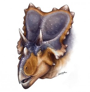 mercuriceratops