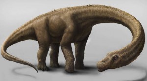 Dreadnoughtus schrani