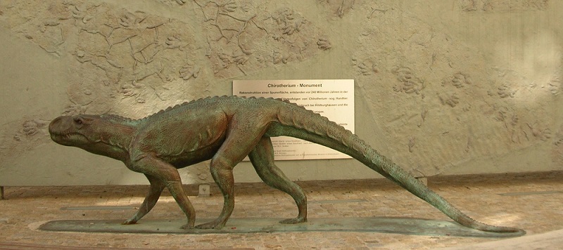 Isochirotherium