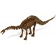 Dino Excavacion Kit Apatosaurus Geoworld