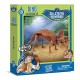 Dino Excavacion Kit Triceratops Geoworld