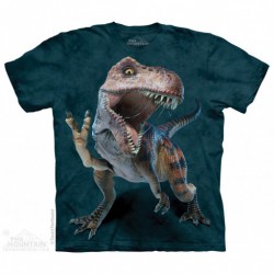 Camiseta Niño The Mountain Rex paz