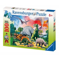 Puzzle de 100 piezas