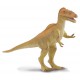 Alioramus de Collecta
