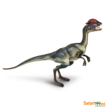 Dilophosaurus Safari