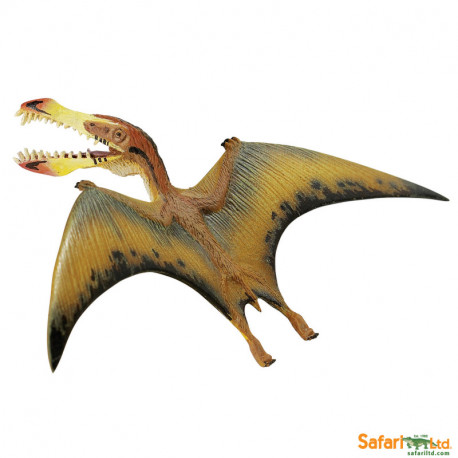 Pterosaurus Safari