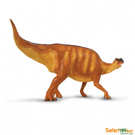 Edmontosaurus Safari