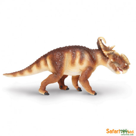 Pachyrhinosaurus Safari