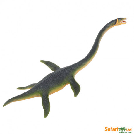 Elasmosaurus Safari