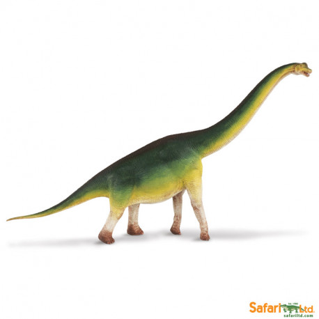 Brachiosaurus Safari