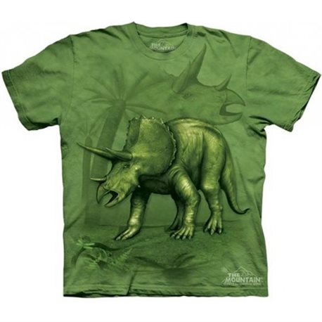 Camiseta Niño The Mountain Triceratops