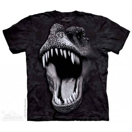 Camiseta Niño The Mountain Brilla en la oscuridad T-rex