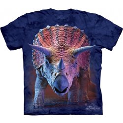 Camiseta Niño The Mountain Triceratops 2