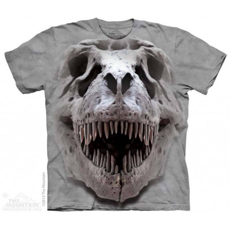 Camiseta Niño The Mountain gran calavera T-Rex