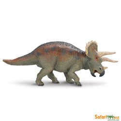 Triceratops Safari 