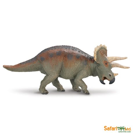 Triceratops Safari 