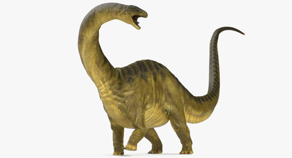 preparar Delegar Seducir Brontosaurio el dinosaurio de cuello largo del jurasico
