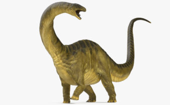Brontosaurio