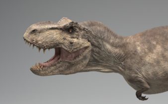 Informacion Tiranosaurio rex