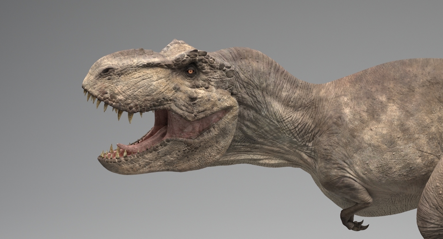 dinosaurios rex Archives - 🦕Todo sobre el mundo de los dinosaurios🦕