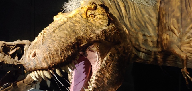 t-rex tiranosaurio rex