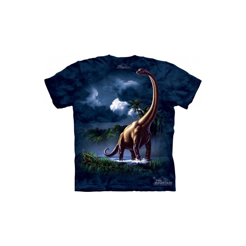 Camisetas infantiles de dinosaurios de la marca The Mountain