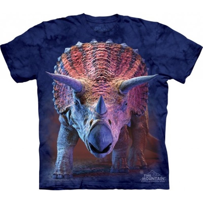 CAmiseta infantil de dinosaurios Triceratops