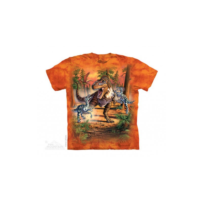 Camisetas infantiles de dinosaurios de la marca The Mountain