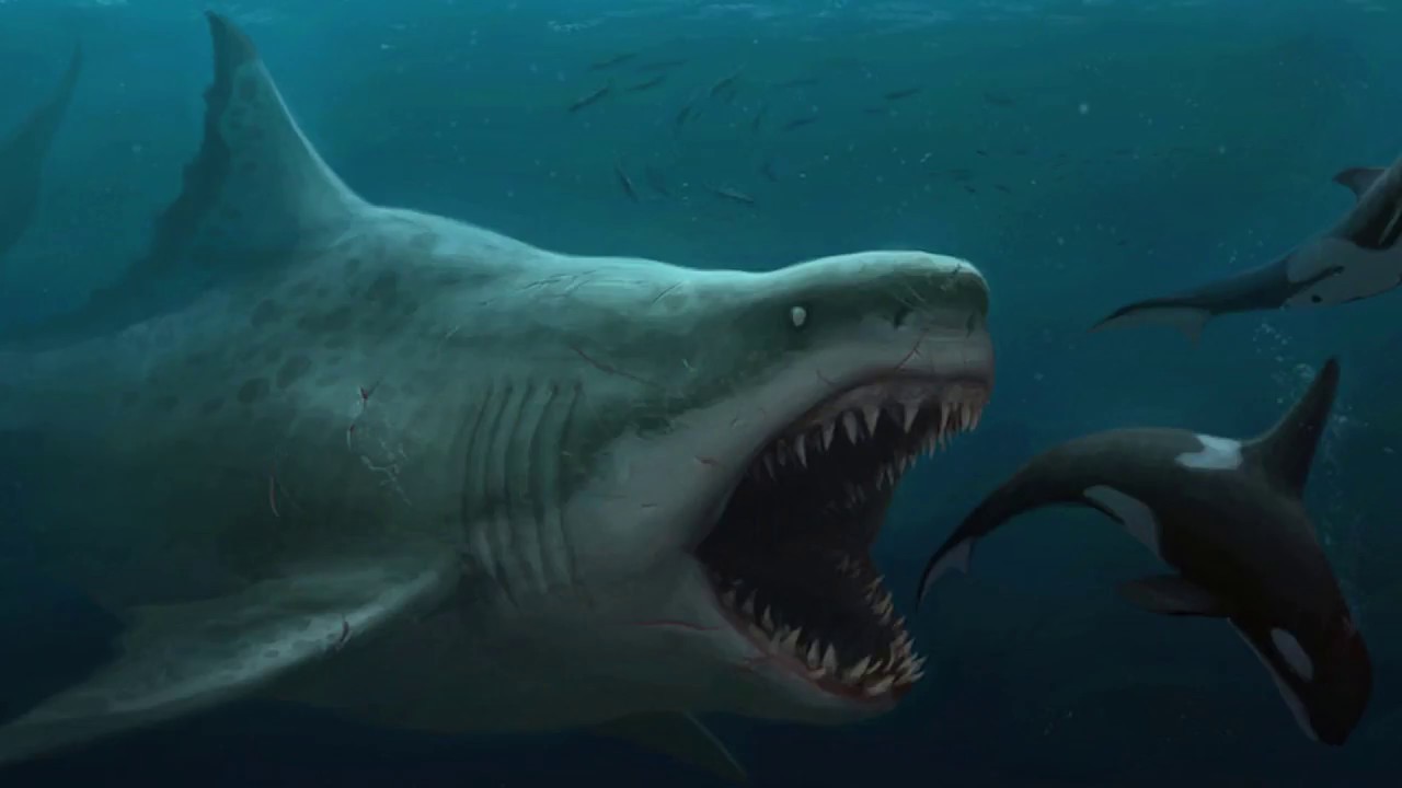 megalodon el tiburon gigante