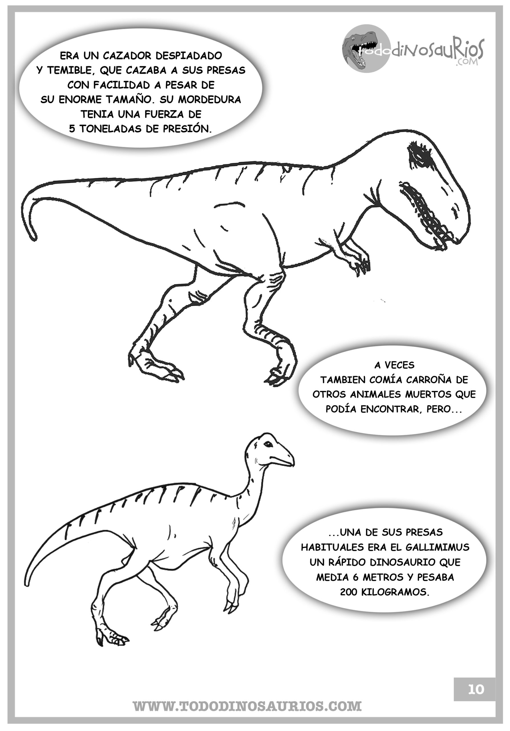 dibujo-de-dinosaurio-para-colorear-tiranosaurio-rex-3 - 🦕Todo sobre el  mundo de los dinosaurios🦕