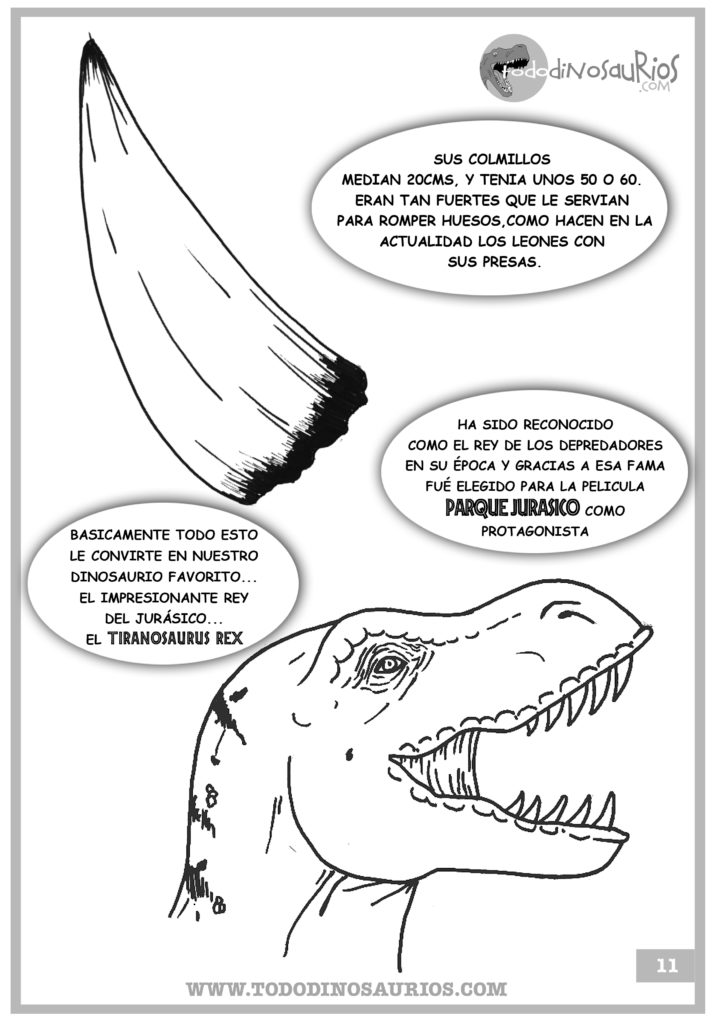 Dibujos de dinosaurios para colorear sobre el Tiranosaurio Rex.