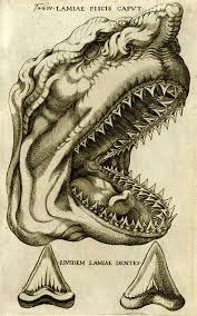 megalodon