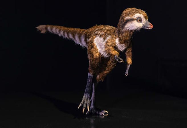 tiranosaurio rex cria