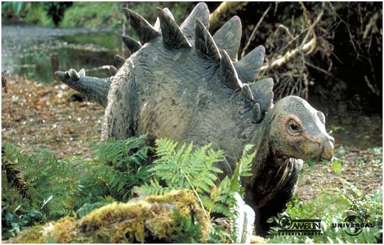 cria-de-estegosaurio-1 - 🦕Todo sobre el mundo de los dinosaurios🦕